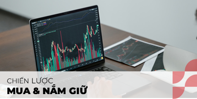 Chiến lược mua và nắm giữ