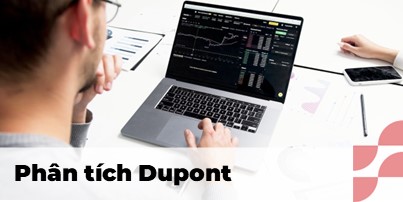 Phân tích Dupont