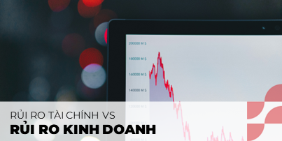 Rủi ro kinh doanh và rủi ro tài chính phản ánh những mối đe dọa tiềm ẩn khác nhau đối với lợi nhuận hoặc sự tồn tại của công ty. 